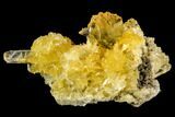 Selenite Crystal Cluster (Fluorescent) - Peru #108608-1